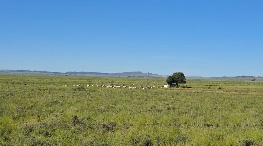 Commercial Property for Sale in Fauresmith Rural Free State